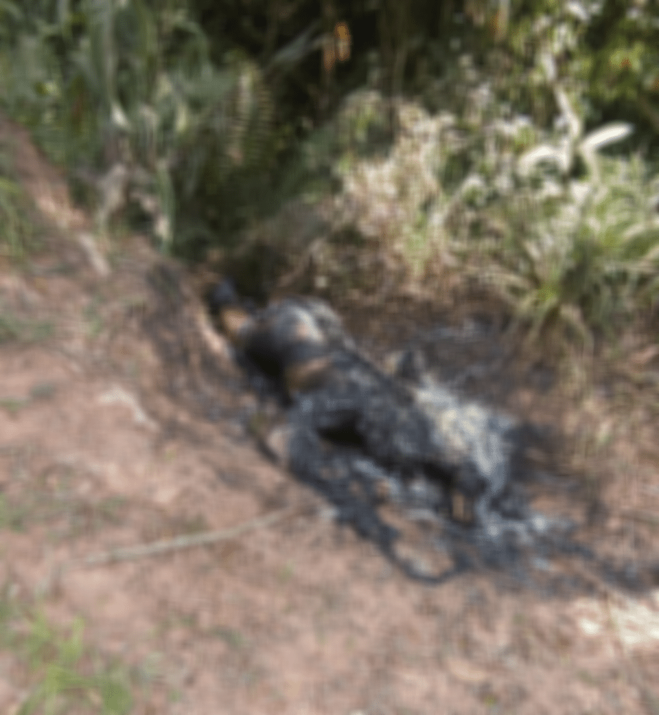 Corpo carbonizado é encontrado ainda em chamas por moradores na Costa do Ipiranga