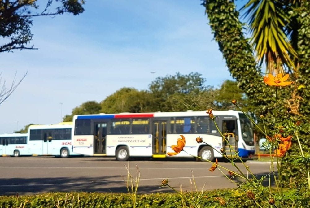 Sogil anuncia novos ônibus para as linhas municipais e intermunicipais