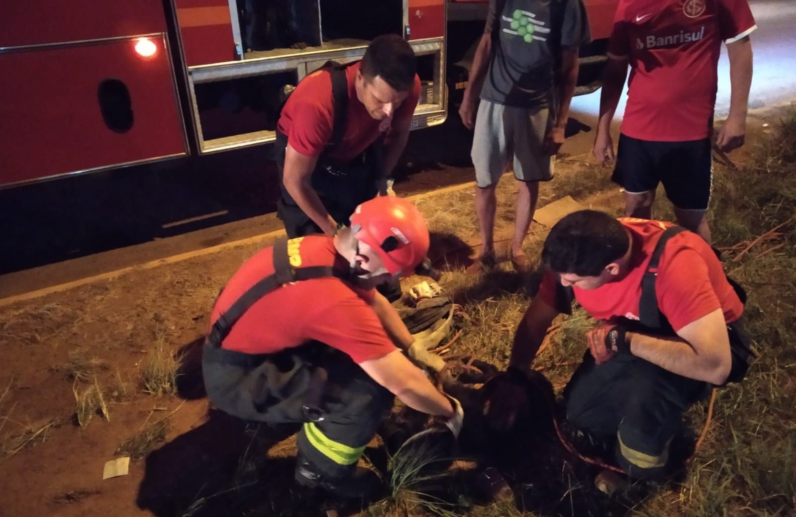 Operação de resgate é montada e cão é salvo por bombeiros em Gravataí