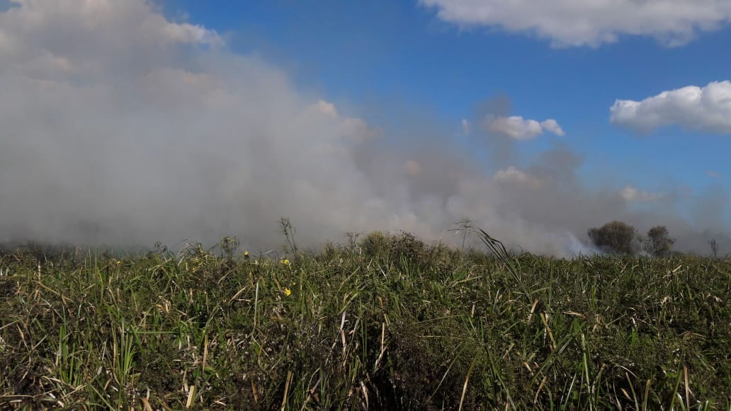 Bombeiros controlam incêndio depois de mais de 24 horas em área de preservação em Glorinha
