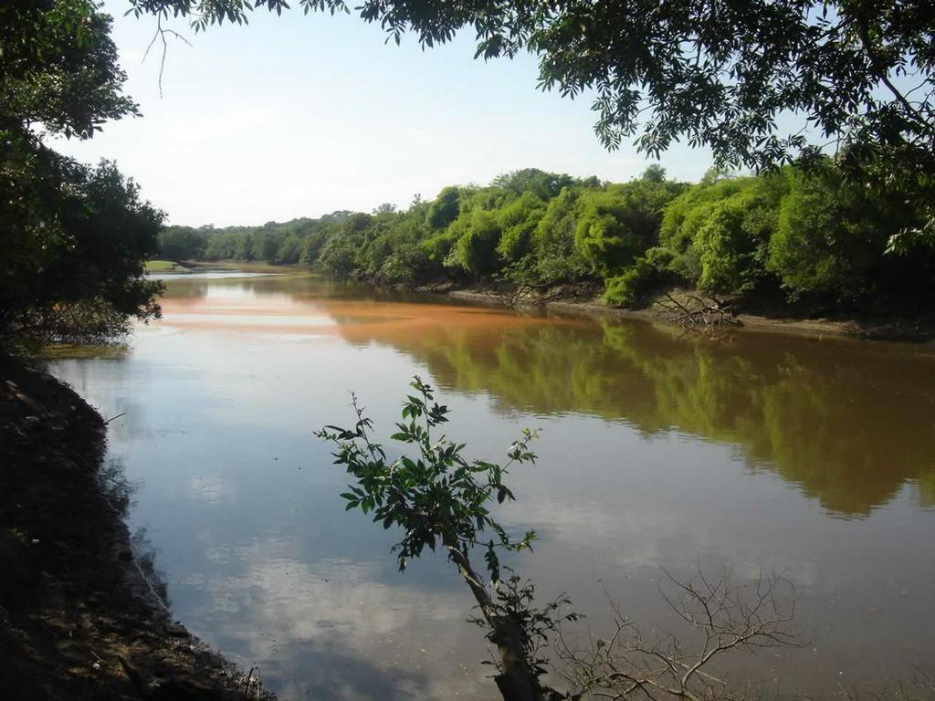 Nível da água continua subindo e Rio Gravataí deixa condição de alerta