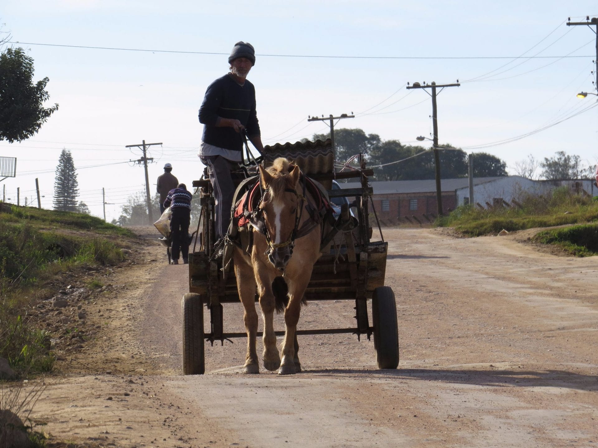 Projeto de Lei em Gravataí quer o fim das carroças e outras formas de sustento às famílias