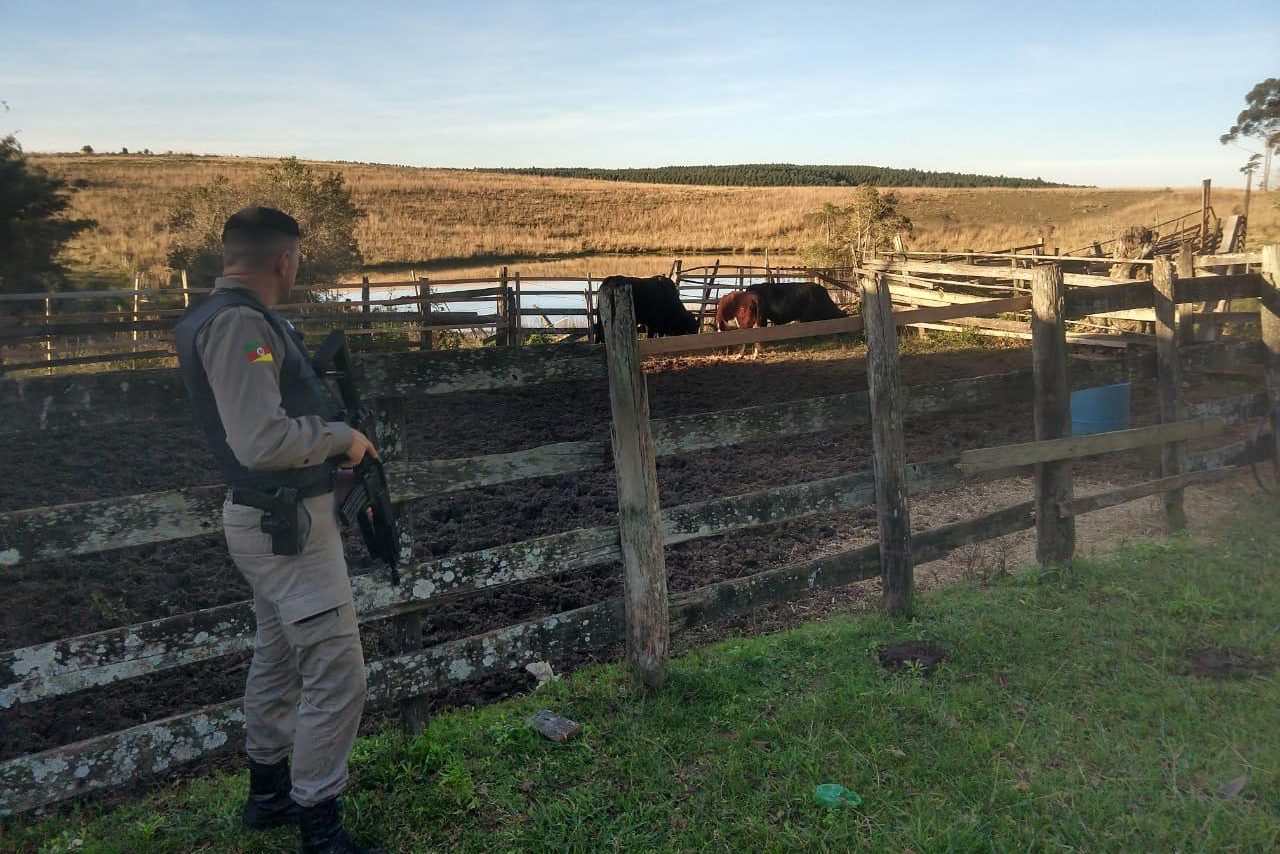 Pastor é preso em Gravataí suspeito de esquema que furtou 17 cabeças de gado em Terra de Areia