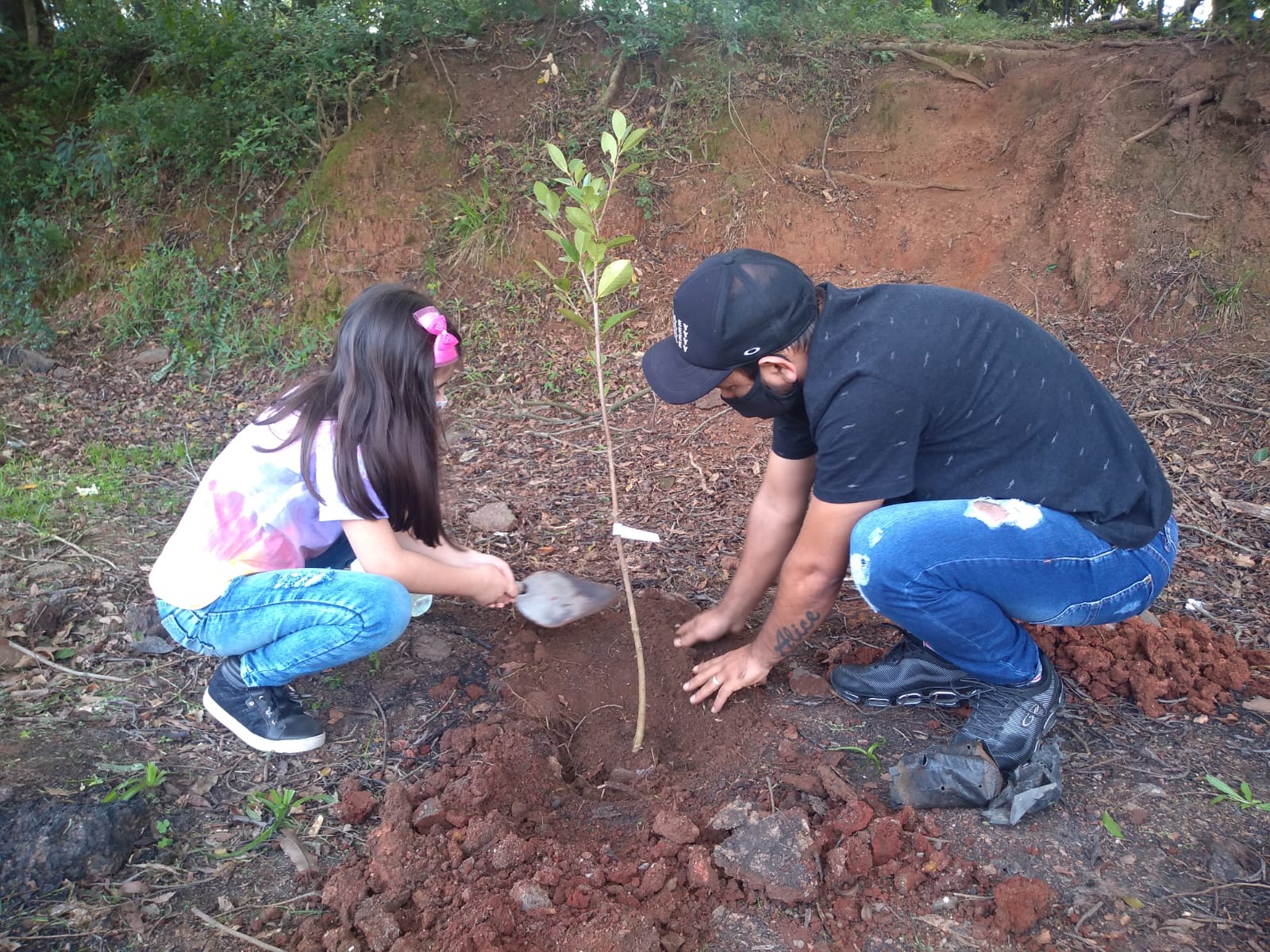 Ainda comemorando o Dia dos Pais, famílias plantam árvores em Cachoeirinha