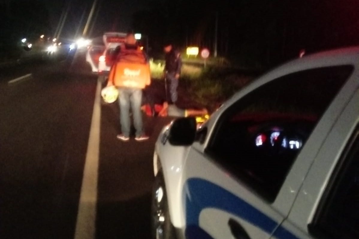 Guarda Municipal prende homem que estava jogando pedra em carros na ERS-118, em Gravataí