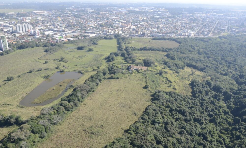 Prefeitura de Cachoeirinha contrata empresa para fazer estudo de área do Mato do Júlio