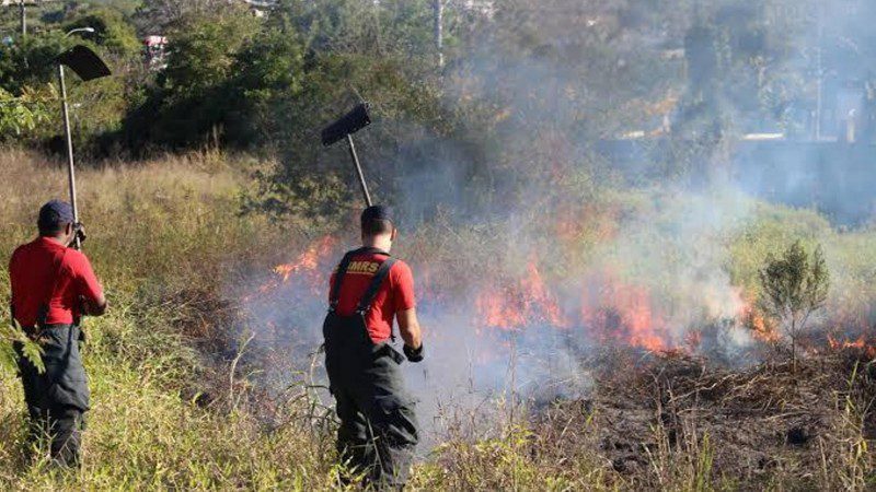 Altas temperaturas deixam bombeiros em alerta para incêndios florestais em Gravataí e região