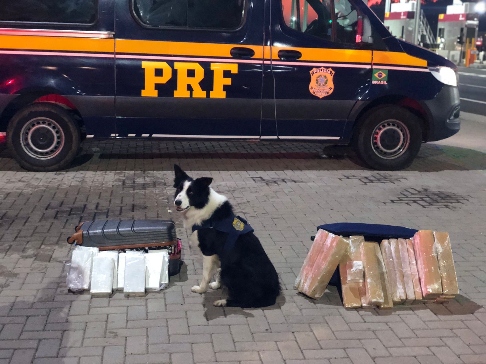 Com cães farejadores, PRF encontra 30 quilos de drogas em Gravataí
