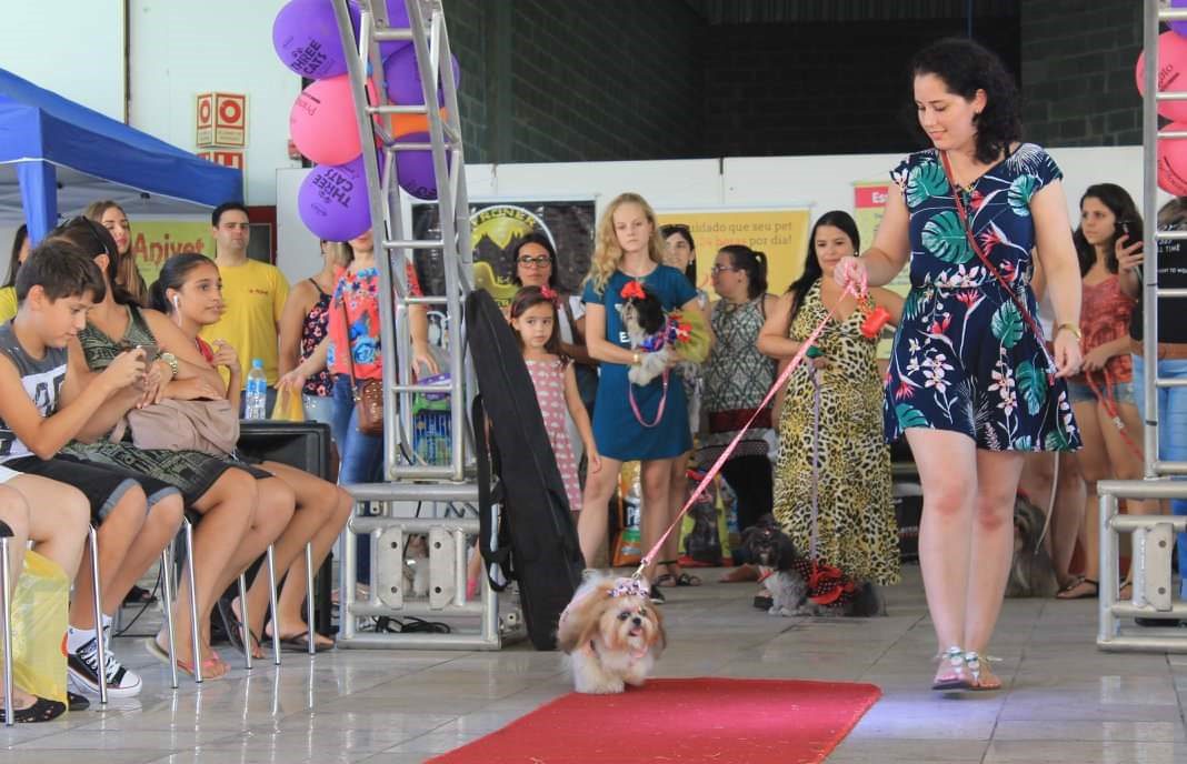 Desfile Pet em Gravataí vai ajudar instituição que acolhe mais de 60 cães
