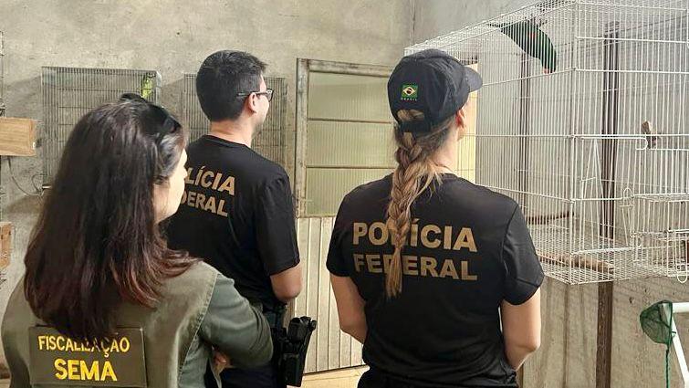 Polícia Federal apreende aves exóticas em Gravataí avaliadas em R$ 200 mil