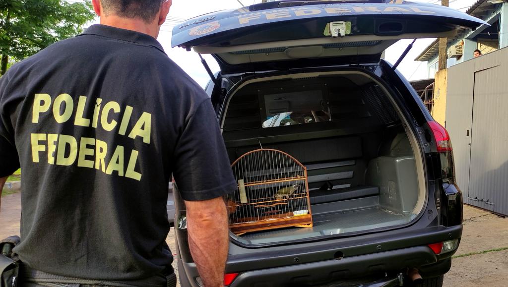 Polícia Federal desarticula grupo de Gravataí que atuava no tráfico de animais silvestres no país