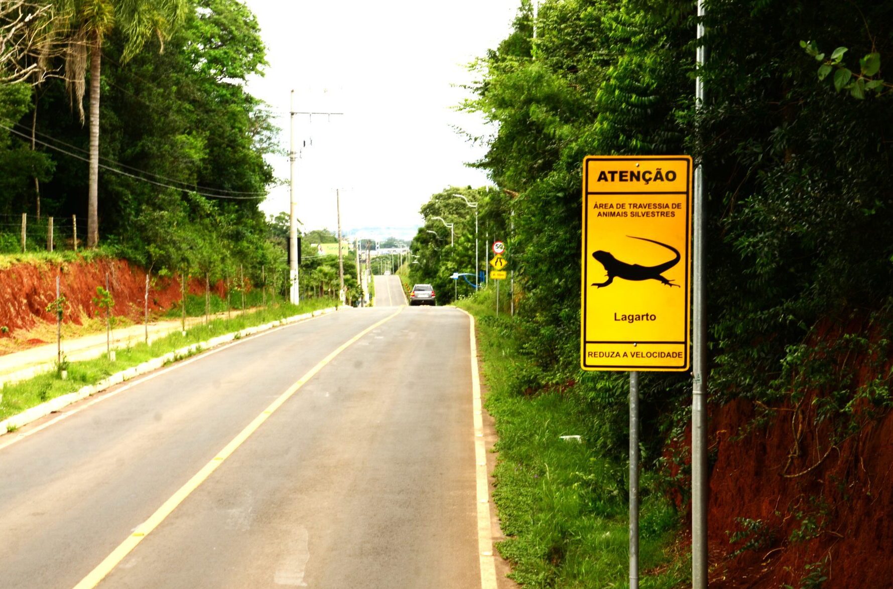 A fim de proteger os animais silvestres locais, placas de trânsito são instaladas em Gravataí