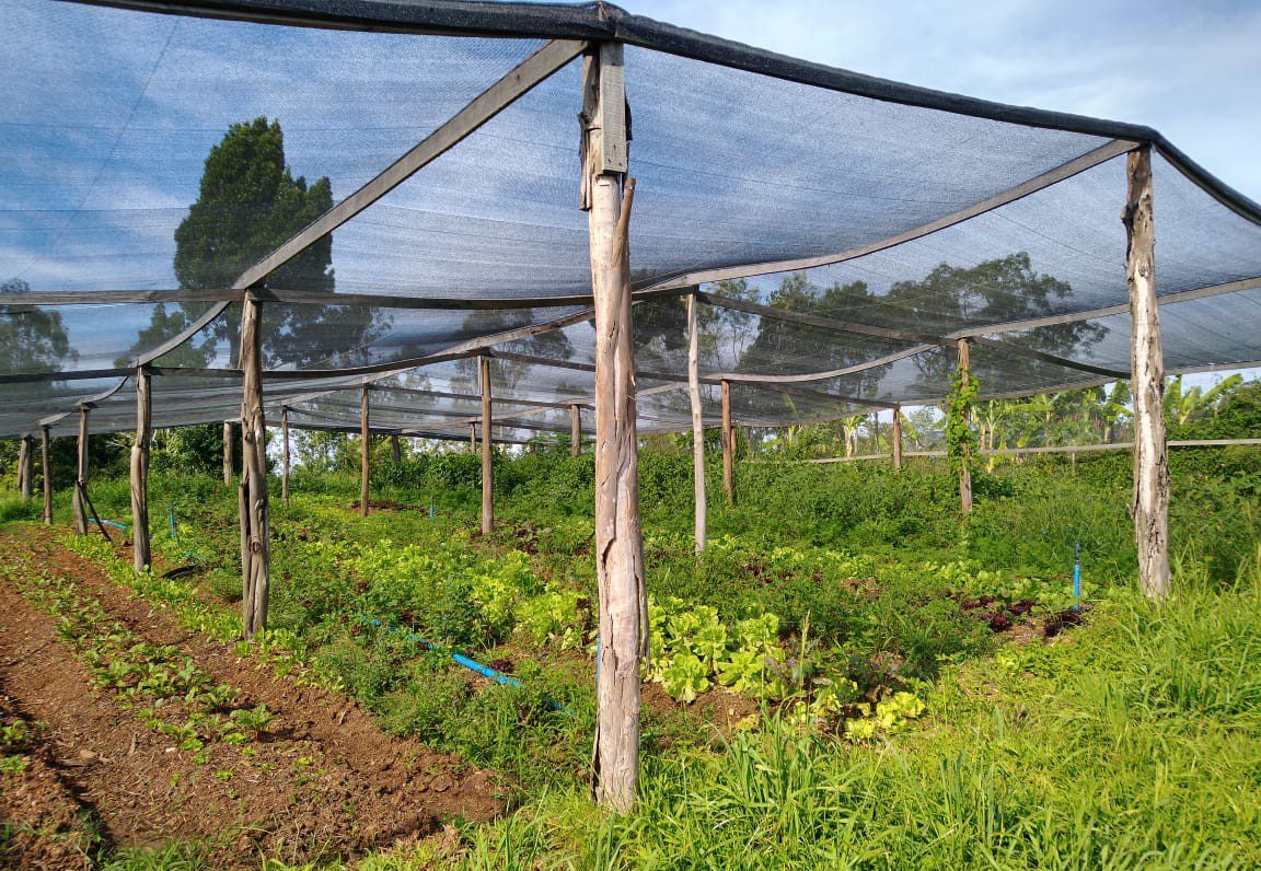 Programa do Governo do RS destinará verba para agricultura familiar em Gravataí