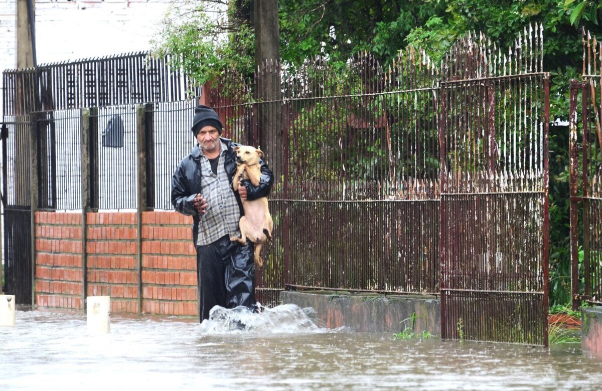 Uso de correntes em animais nas áreas de risco de catástrofes está proibido em Gravataí