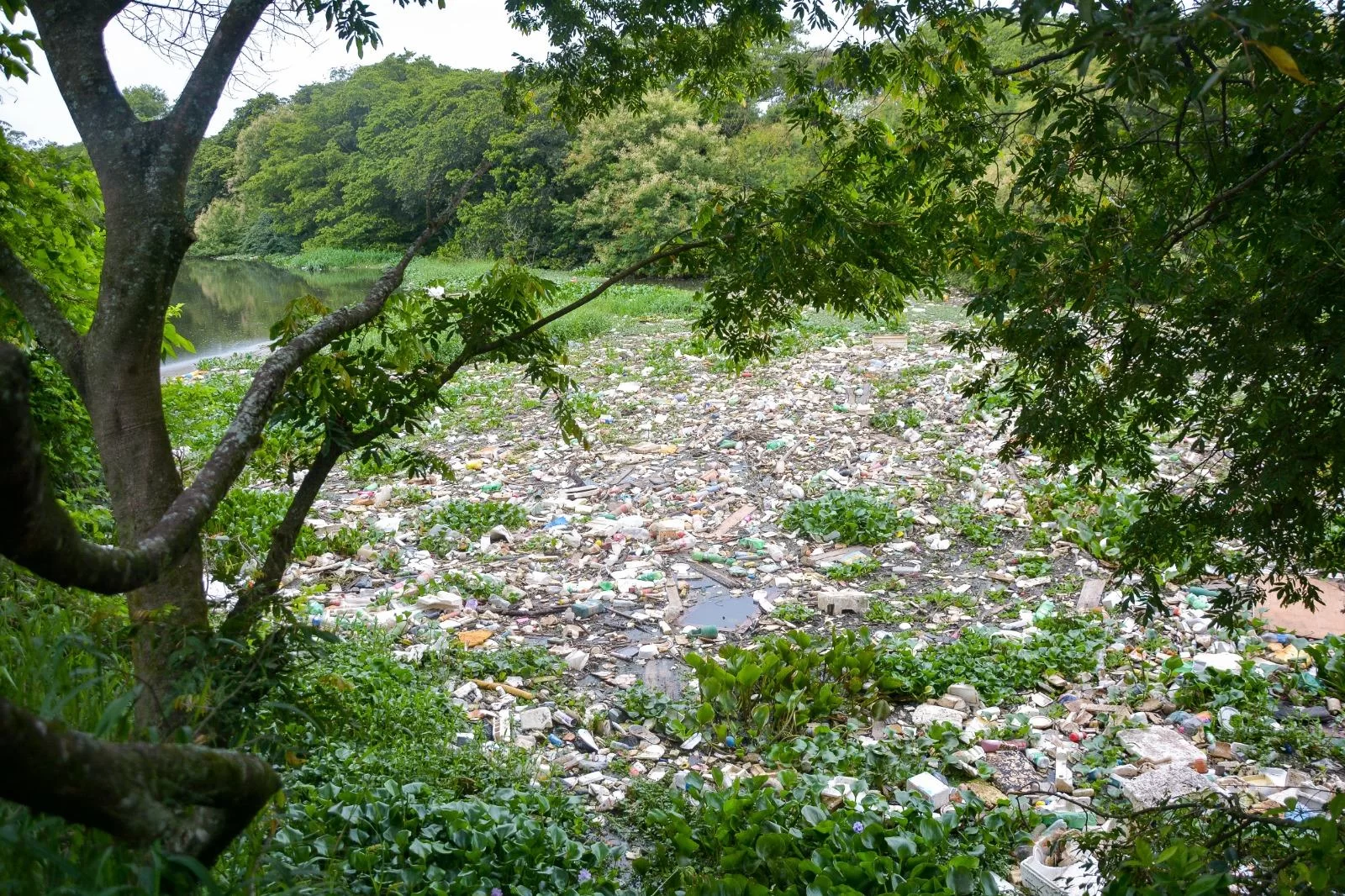 Rio Gravataí contará com ajuda de startup para monitorar poluição e acúmulo de resíduos