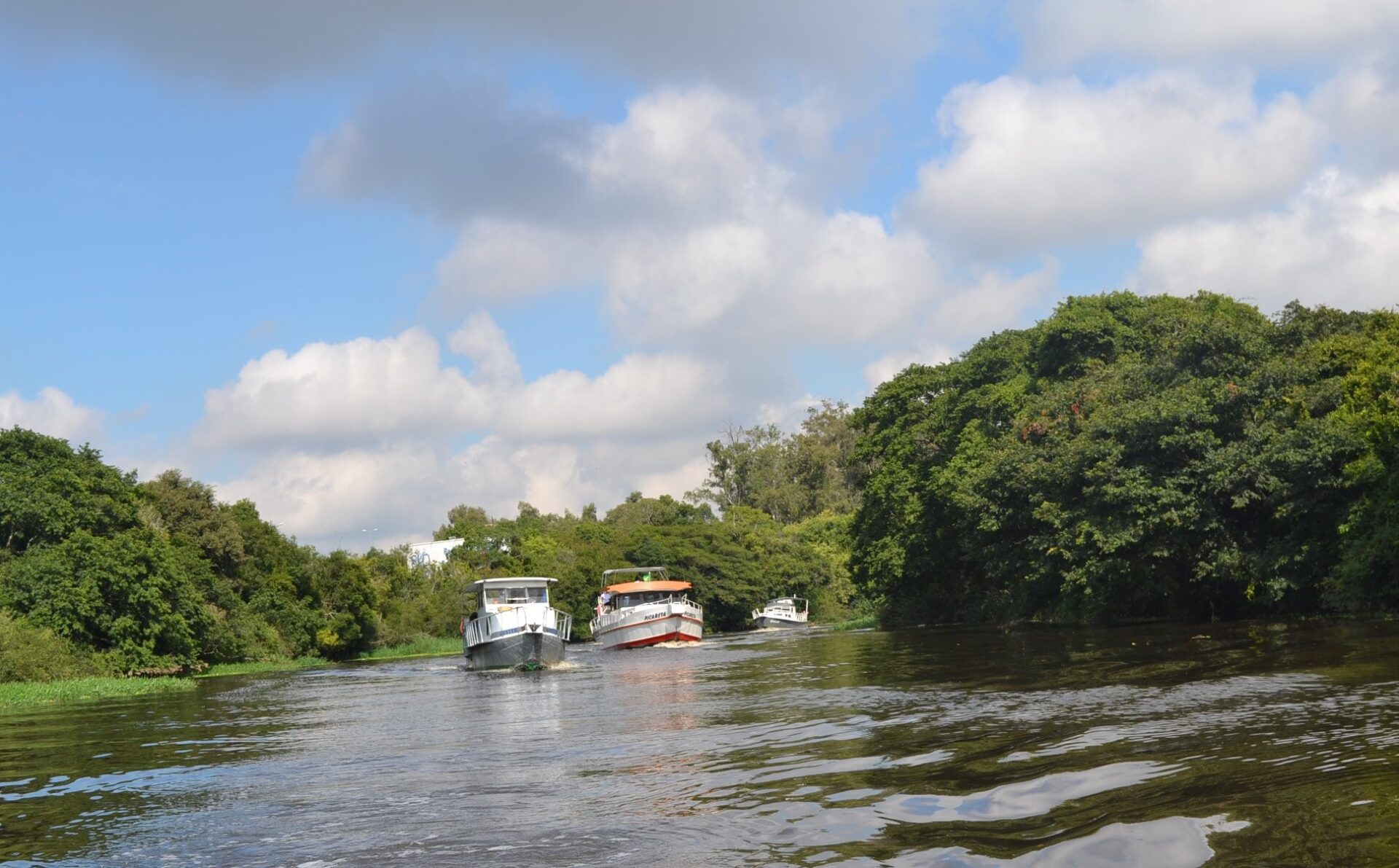 Comitê de Gerenciamento da Bacia Hidrográfica do Rio Gravataí celebra 35 anos