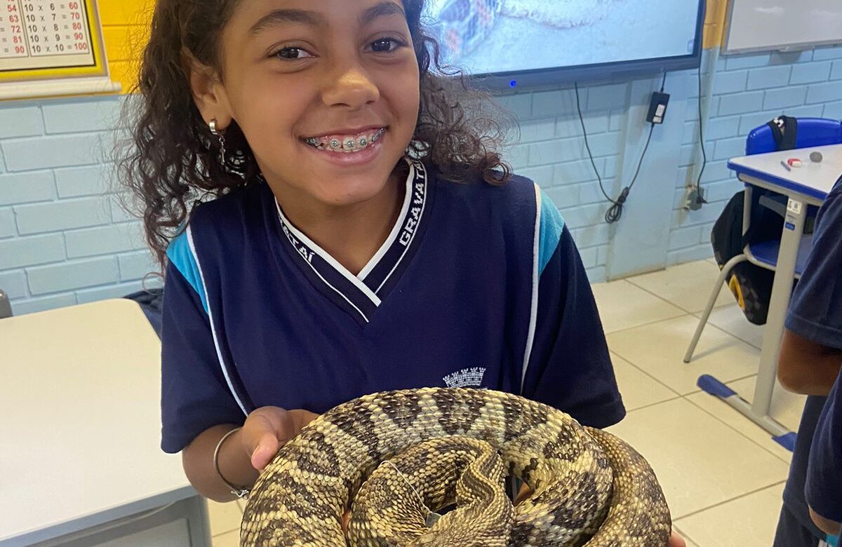 Realizado pela UFRGS, alunos de Gravataí recebem Projeto Serpentes na Escola